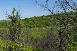 6.347 m² bos met uitzicht op het meer en toegang via geasfalteerde weg in Montana regio - Bulgarije