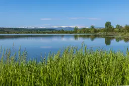6.347 m² bos met uitzicht op het meer en toegang via geasfalteerde weg in Montana regio - Bulgarije