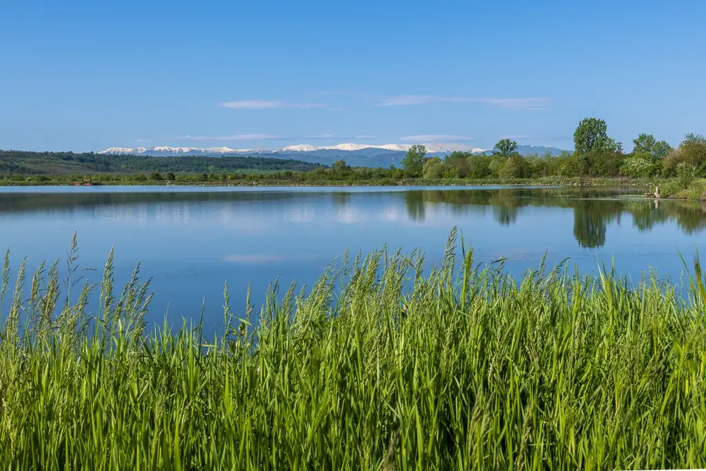 6.347 m² bos met uitzicht op het meer en toegang via geasfalteerde weg in Montana regio - Bulgarije
