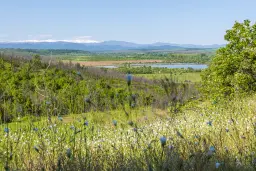 6.347 m² bos met uitzicht op het meer en toegang via geasfalteerde weg in Montana regio - Bulgarije