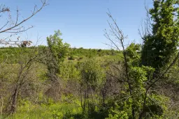 6.347 m² bos met uitzicht op het meer en toegang via geasfalteerde weg in Montana regio - Bulgarije