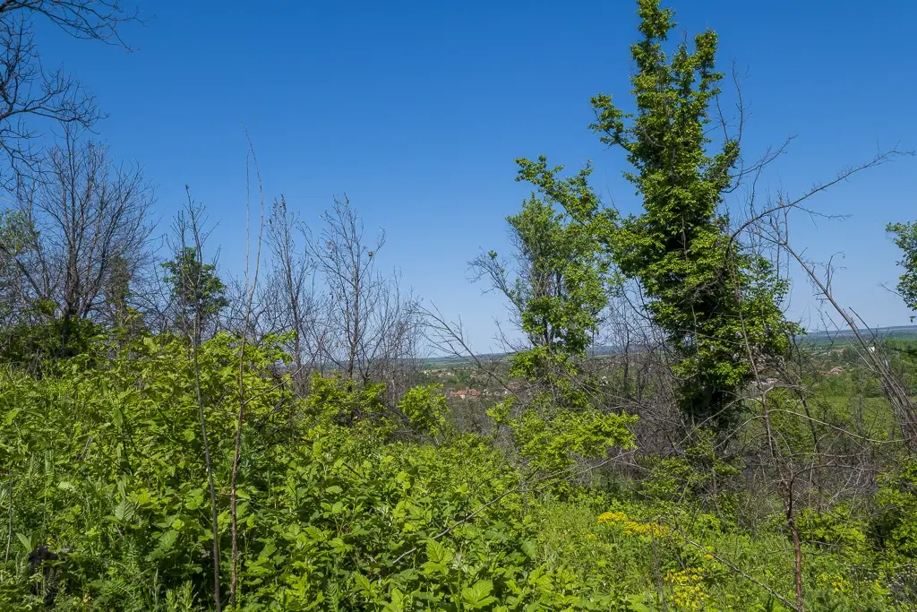 6.347 m² bos met uitzicht op het meer en toegang via geasfalteerde weg in Montana regio - Bulgarije