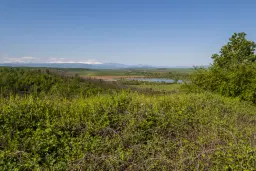 6.347 m² bos met uitzicht op het meer en toegang via geasfalteerde weg in Montana regio - Bulgarije