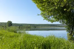 6.347 m² bos met uitzicht op het meer en toegang via geasfalteerde weg in Montana regio - Bulgarije