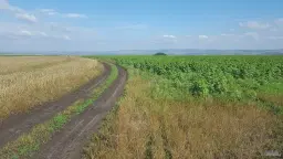 Landbouwgrond in Rakovitsa, regio Vidin - Bulgarije