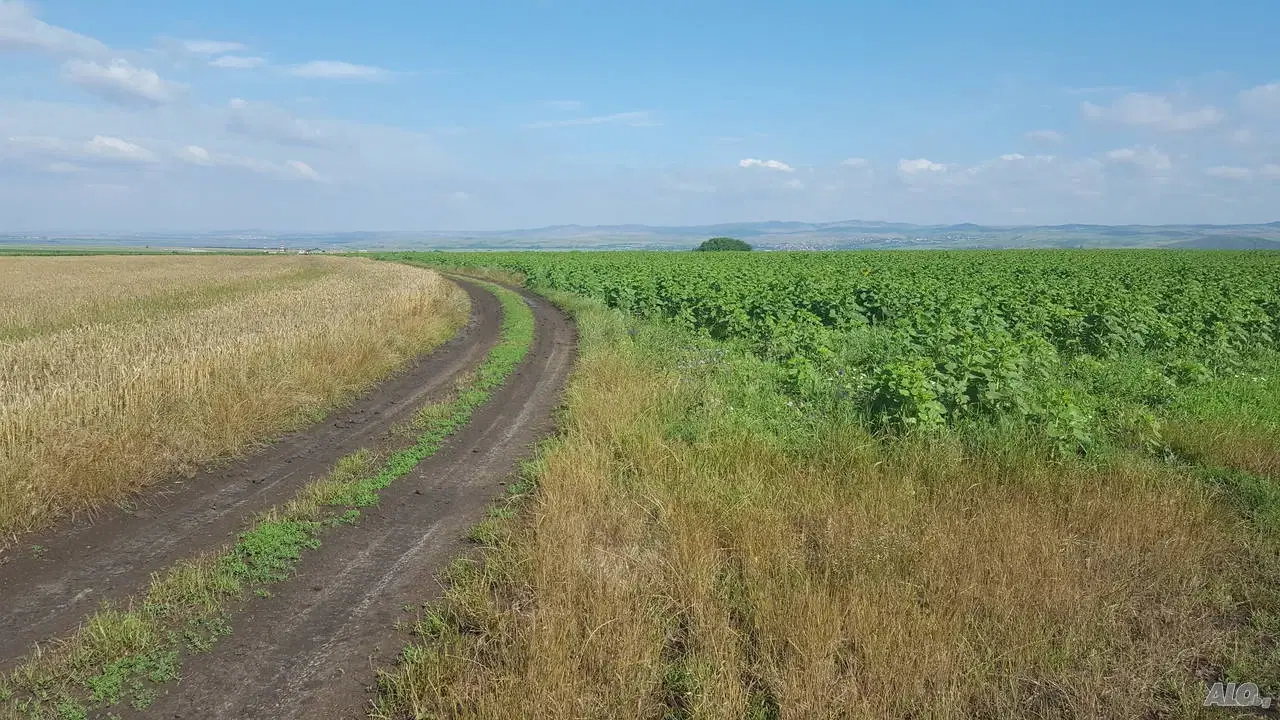 Landbouwgrond in Rakovitsa, regio Vidin - Bulgarije