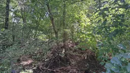 24.907 m² bosgrond in de regio Vidin - Bulgarije