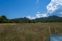 26.802 m² gemengd loofbos in Belogradchik - Bulgarije