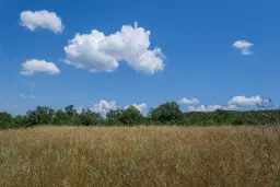 26.802 m² gemengd loofbos in Belogradchik - Bulgarije