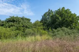 Gemengd loofbos 26.802 m² in Belogradchik - Bulgarije
