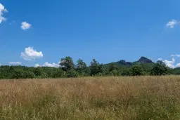 26.802 m² gemengd loofbos in Belogradchik - Bulgarije