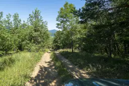 Gemengd loofbos, 21.902 m² in Belogradchik - Bulgarije