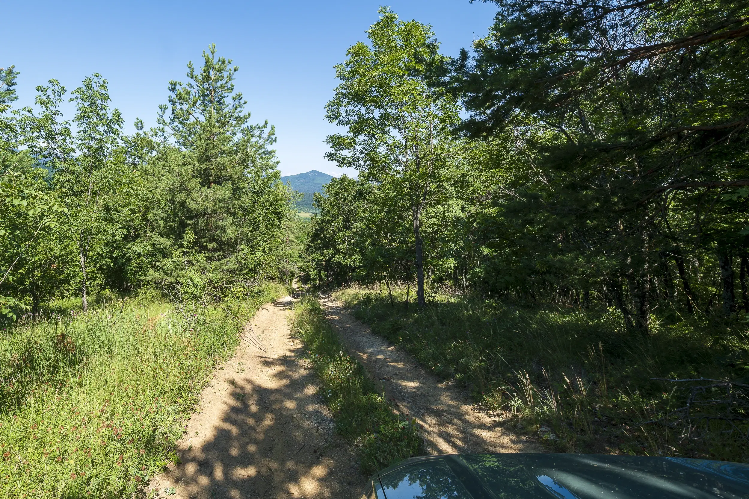 21.902 m² gemengd loofbos in Belogradchik - Bulgarije