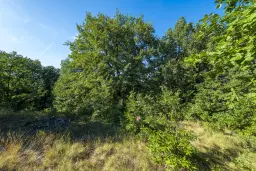 49.509 m² gemengd loofbox in Belogradchik - Bulgarije