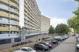 Zaandam, Pharus 18