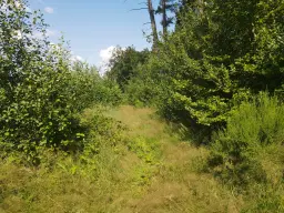 Eigendomsperceel van 701 m² aan de rand van Gummersbach, nabij Winterberg - Duitsland