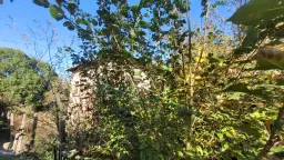 Huis en 790 m² grond en bijgebouwen in Kireevo - Bulgarije