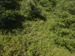 Eigendomsperceel 498 m² in Zell, Cochem - Duitsland