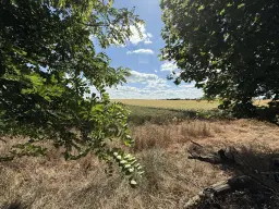 2 Percelen van totaal 1.275 m² in Lebus, Brandenburg - Duitsland