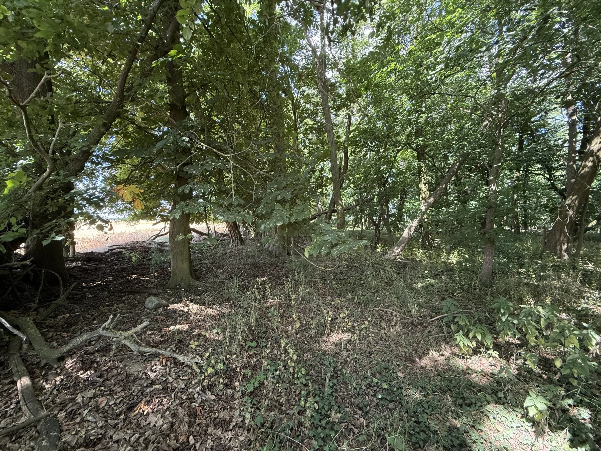 2 Percelen van totaal 1.275 m² in Lebus, Brandenburg - Duitsland