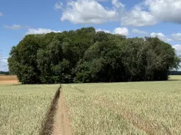2 Percelen van totaal 1.275 m² in Lebus, Brandenburg - Duitsland