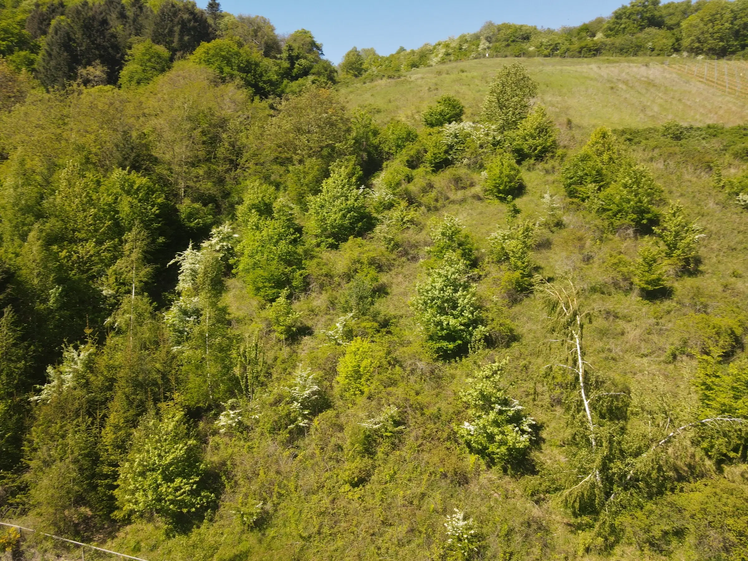 Perceel van 1.679 m² nabij Cochem - Duitsland