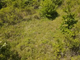 Perceel van 1.679 m² nabij Cochem - Duitsland