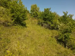 Perceel van 1.679 m² nabij Cochem - Duitsland
