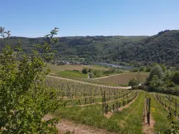 Perceel van 1.679 m² nabij Cochem - Duitsland