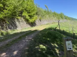 Perceel van 1.679 m² nabij Cochem - Duitsland