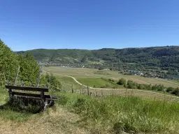 Perceel van 1.679 m² nabij Cochem - Duitsland