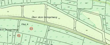 3.950 m² groen perceel nabij Ebenshausen, Thüringen - Duitsland