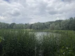 54.019 m² natuur- en recreatieterrein met recreatiemeer Ringsee in Königs Wusterhausen, nabij Berlijn – Duitsland