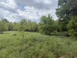54.019 m² natuur- en recreatieterrein met recreatiemeer Ringsee in Königs Wusterhausen, nabij Berlijn – Duitsland