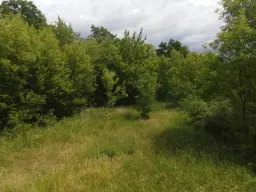 54.019 m² natuur- en recreatieterrein met recreatiemeer Ringsee in Königs Wusterhausen, nabij Berlijn – Duitsland