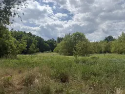 54.019 m² natuur- en recreatieterrein met recreatiemeer Ringsee in Königs Wusterhausen, nabij Berlijn – Duitsland