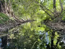 Waterperceel van 429 m² in Mützel, Genthin - Duitsland