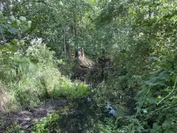 Waterperceel van 429 m² in Mützel, Genthin - Duitsland