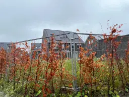 Badhoevedorp, dr. Henriette Boasstraat 2