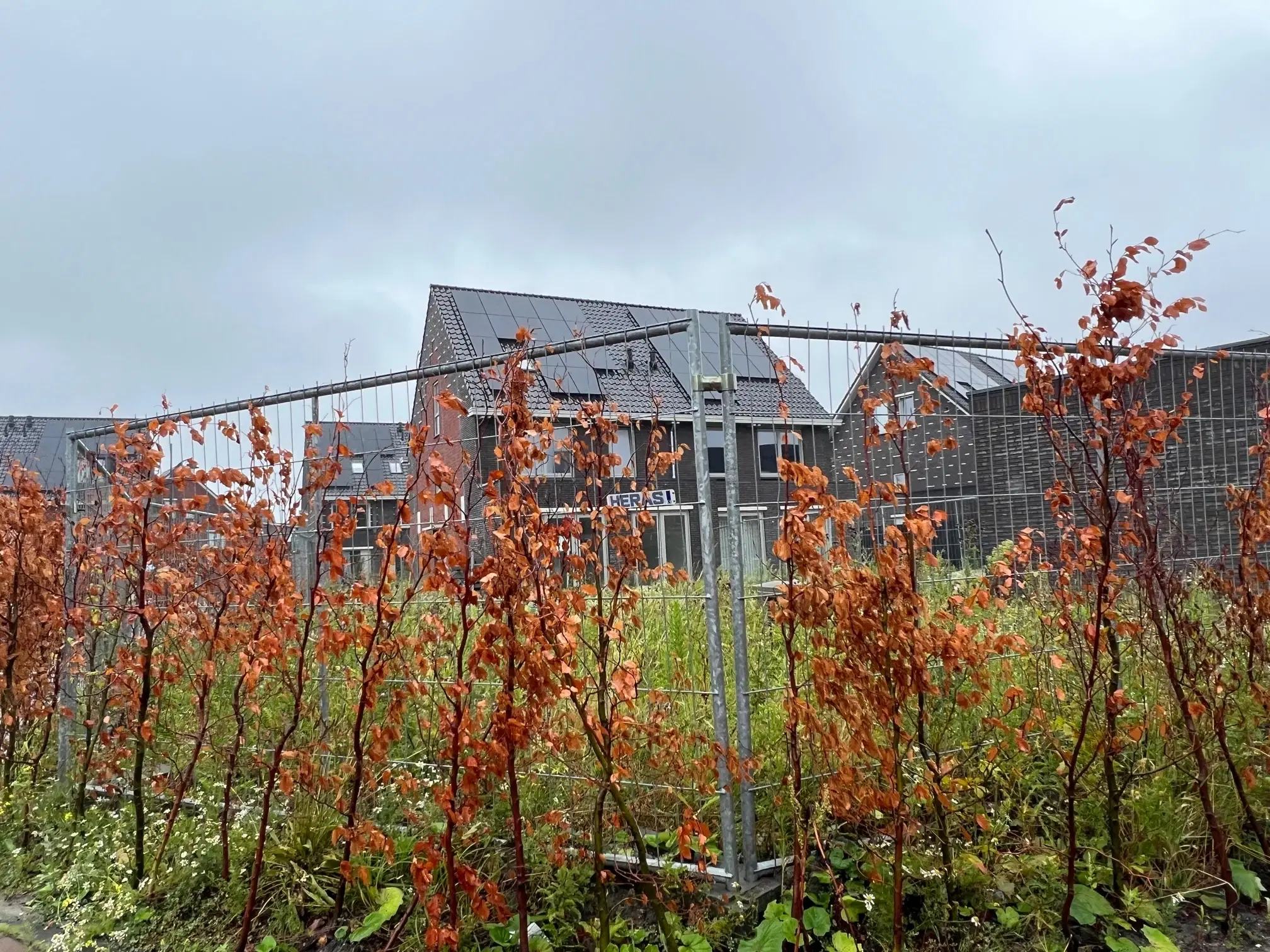 Badhoevedorp, dr. Henriette Boasstraat 2