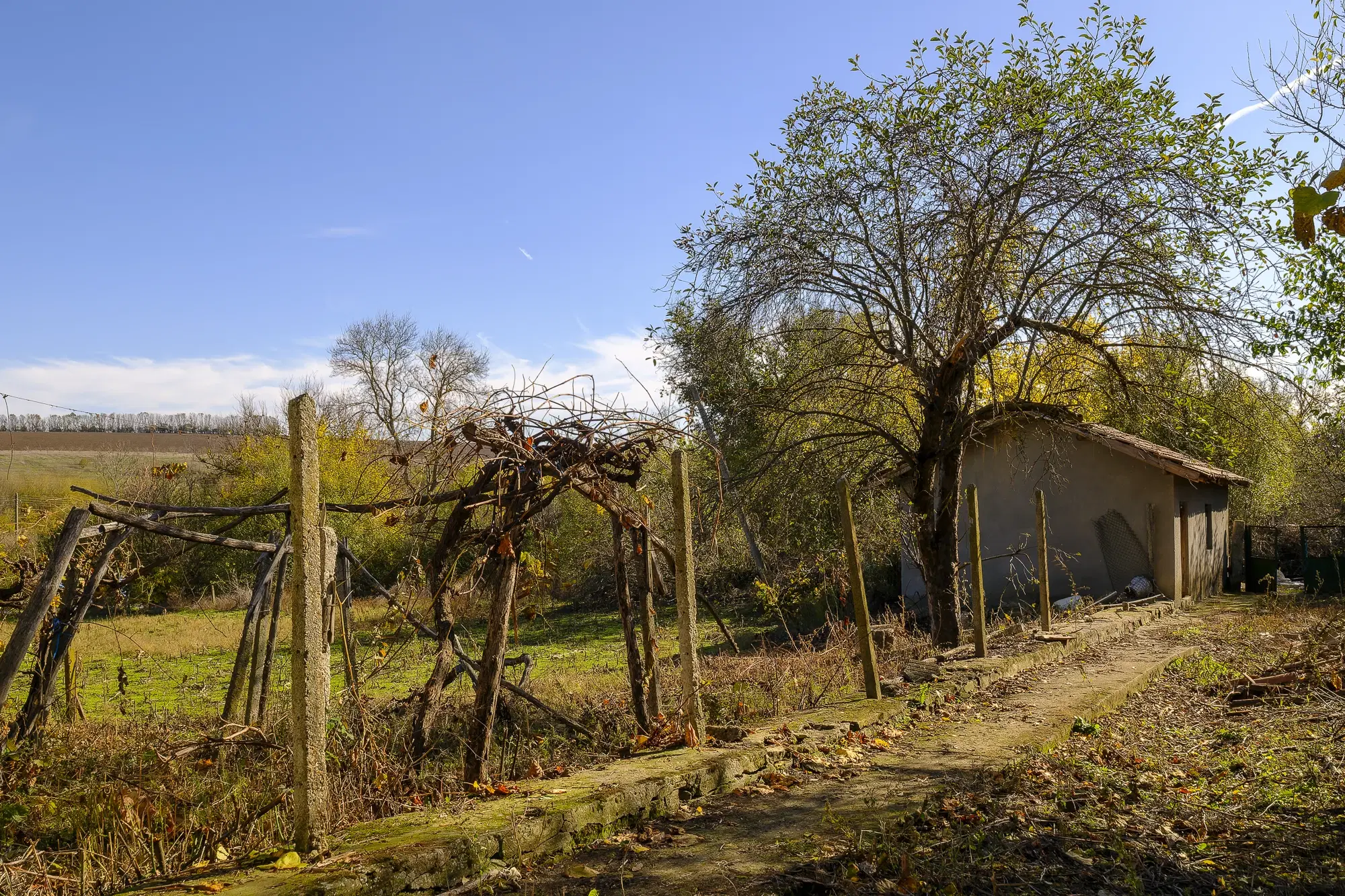 Hoofdgebouw, garage en bijgebouwen op perceel grond van 4.422 m² in Zhiten, Dobroedja - Bulgarije