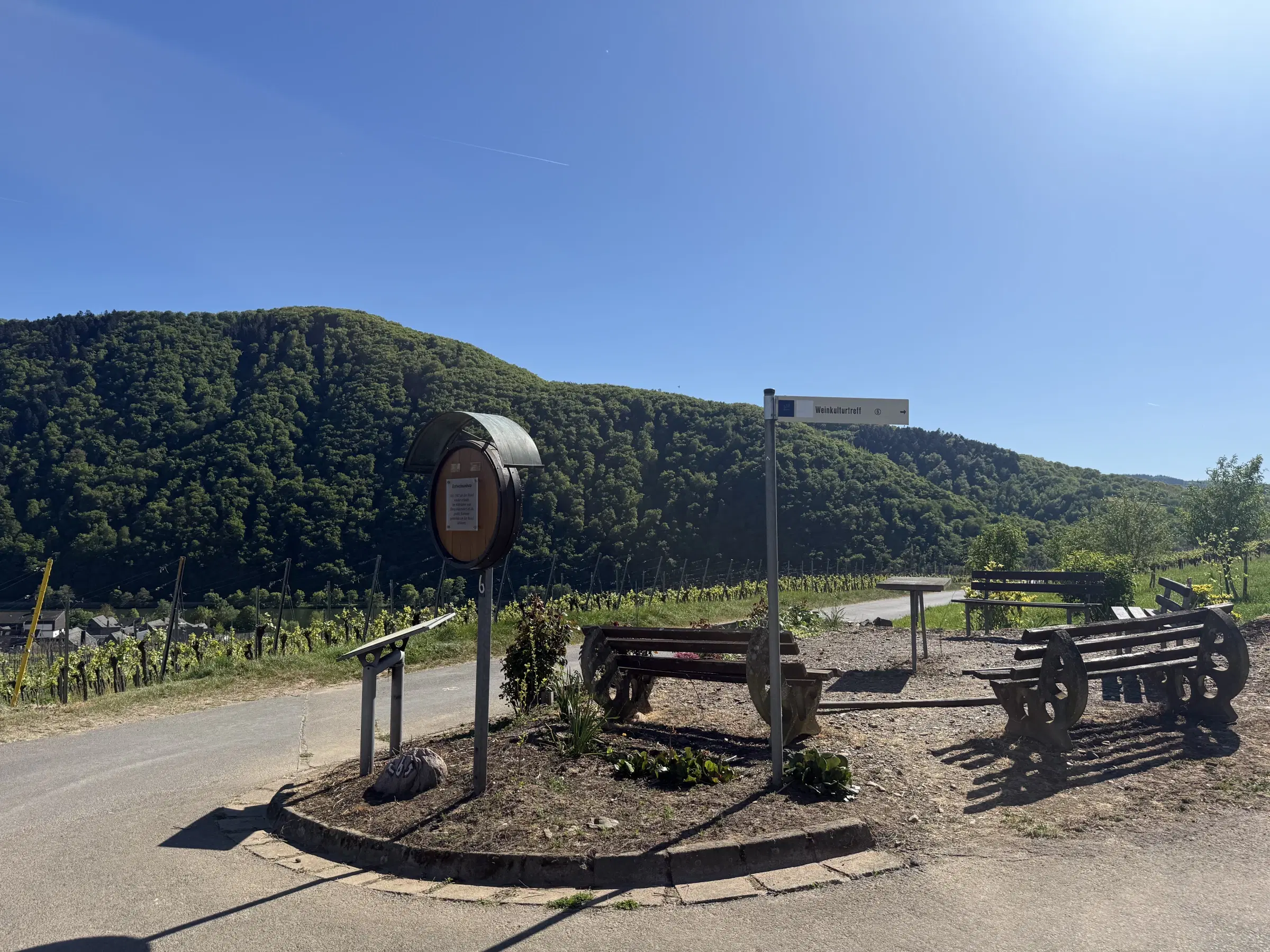 Riesling wijngaard totaal 2.482 m², gelegen in Zell - Cochem - Duitsland