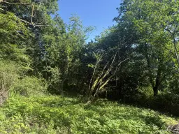 Bootcampbaan van 1.588 m² in Sint Wendel, nabij Saarbrücken - Duitsland