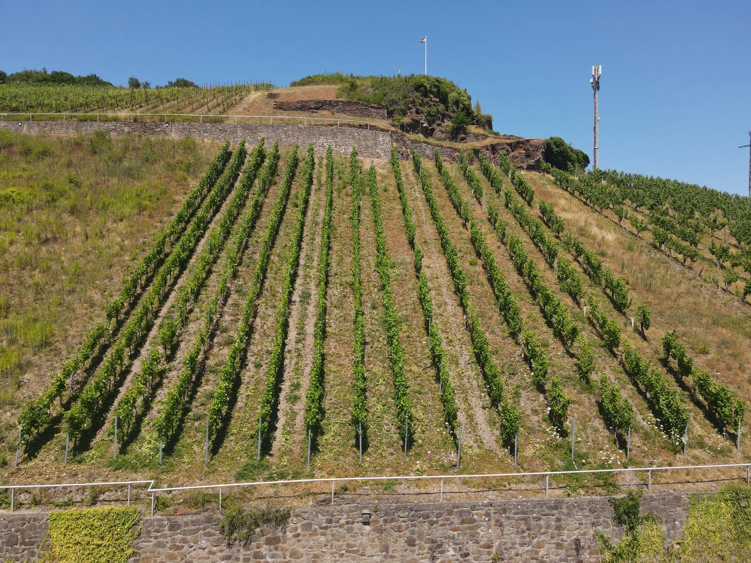 Wijngaard met Riesling van 803 m² perceel nabij Briedel, Cochem - Duitsland