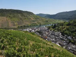 Wijngaard met Riesling van 803 m² perceel nabij Briedel, Cochem - Duitsland
