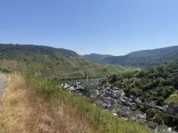 Wijngaard met Riesling van 803 m² perceel nabij Briedel, Cochem - Duitsland