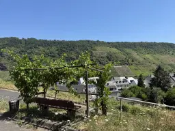 Wijngaard met Riesling van 803 m² perceel nabij Briedel, Cochem - Duitsland