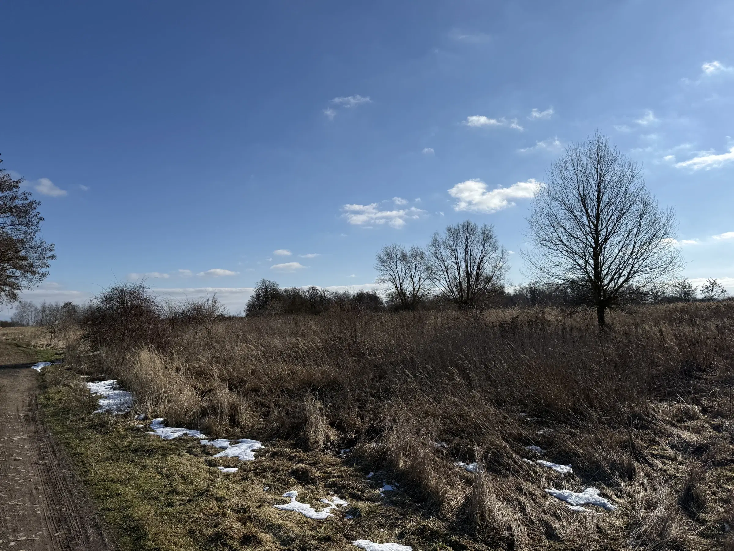 7.234 m² eigendomsterrein in Emden - Duitsland