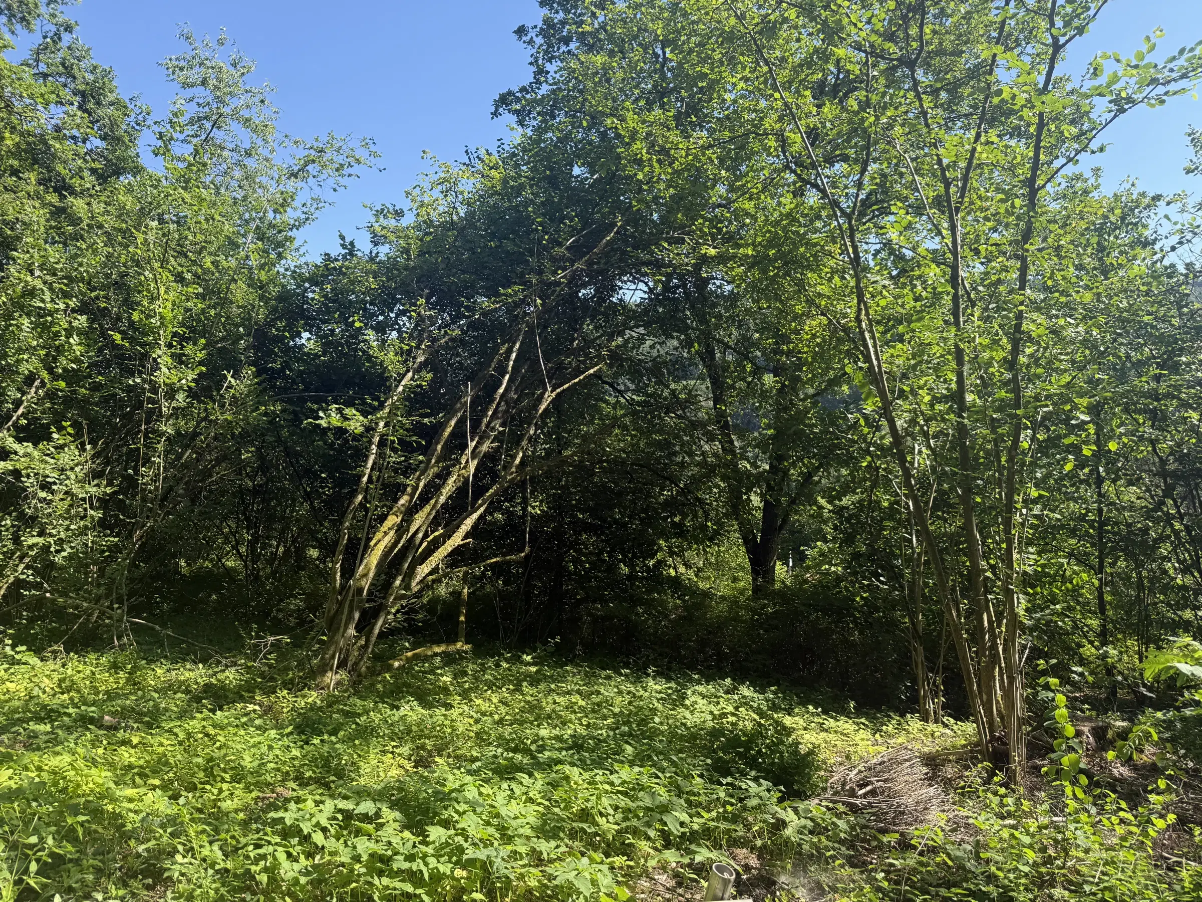 3 eigendomspercelen totaal 1.735 m² in Sint Wendel, nabij Saarbrücken - Duitsland