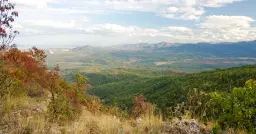 174.932 m2 bosgrond in de regio Belogradchik - Bulgarije